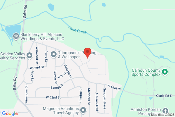 Alabama Computer Services