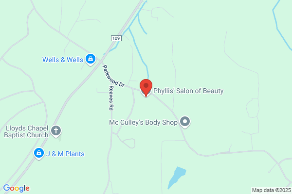Phyllis Salon of Beauty