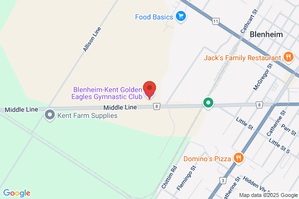 Golden Eagles Gymnastics Academy Inc