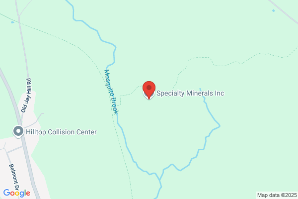 Specialty Minerals