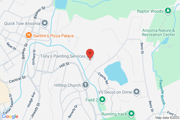 Tonys Painting Services