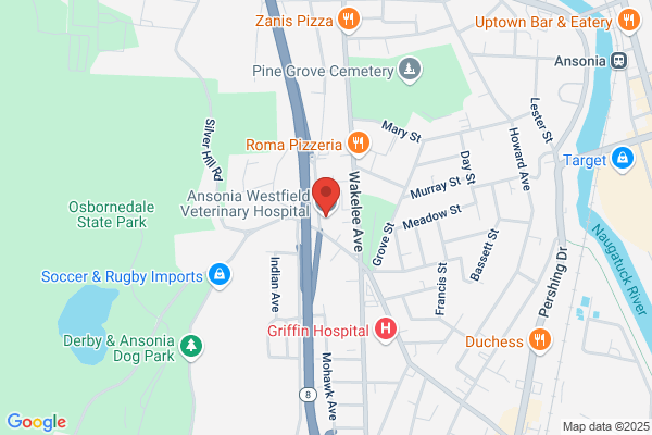 Ansonia Westfield Veterinary Hospital