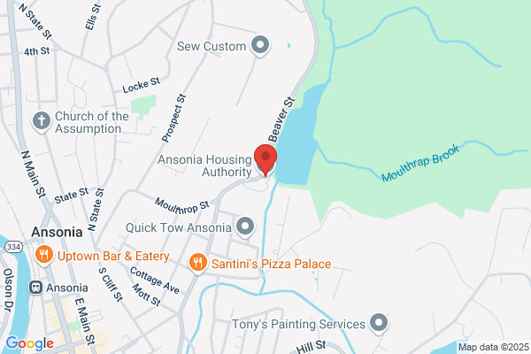 Ansonia Community Action Inc