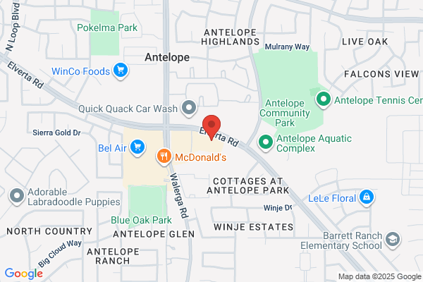 AutoZone Auto Parts