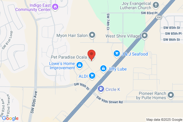 Adobe Wells Pet Hotel