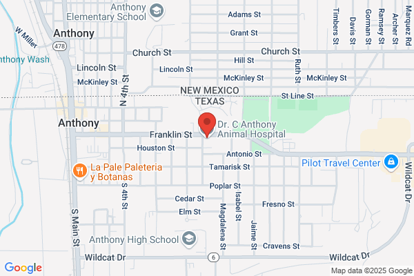 Anthony Animal Clinic & Holistic Healing Center
