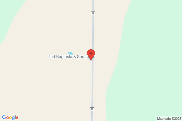 Baginski Ted & Sons Inc