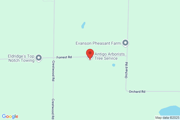 Antigo Arborists