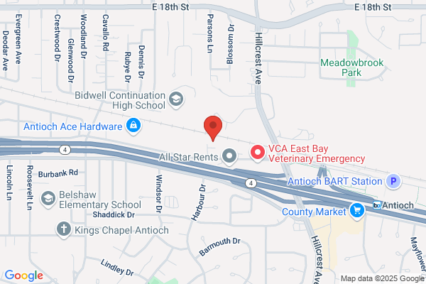 Templers Auto Body