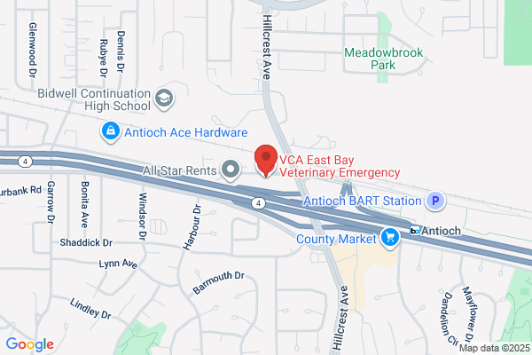 VCA East Bay Veterinary Emergency