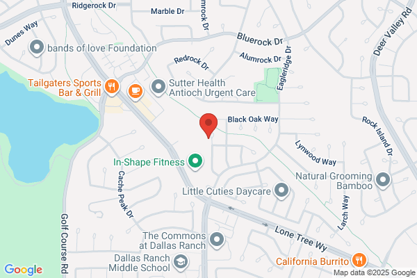 Acme Home Inspection Services