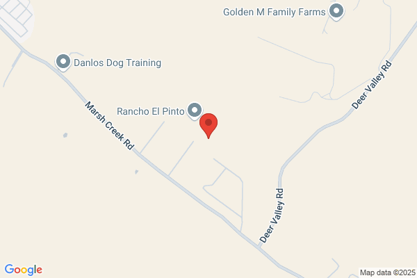 Leisure Equestrian Services