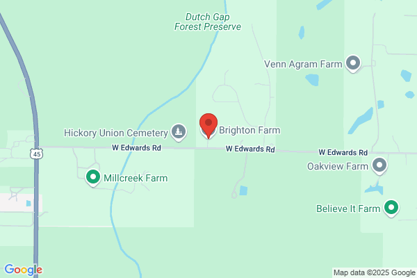 Brighton Farm