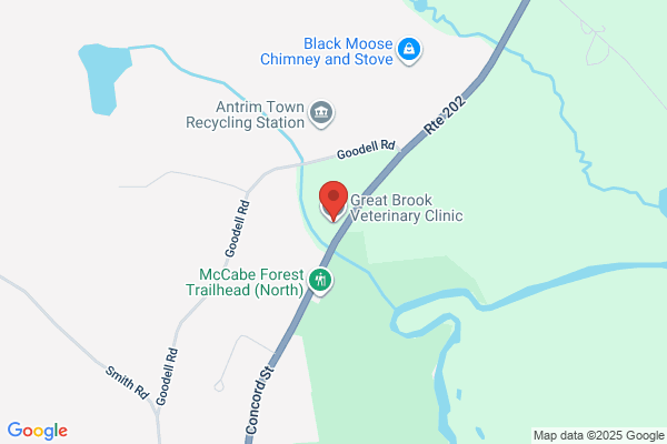 Great Brook Veterinary Clinic