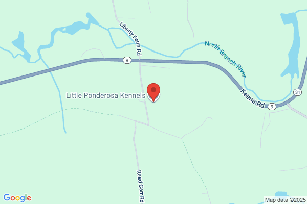 Little Ponderosa Kennels