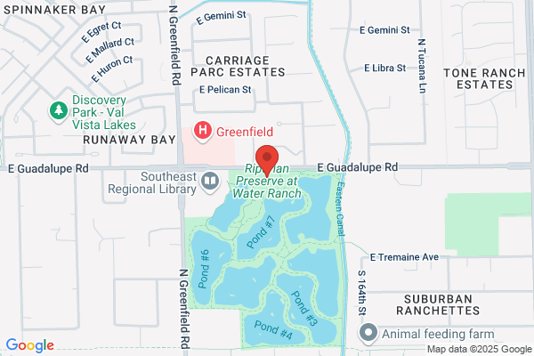 Riparian Enviroments
