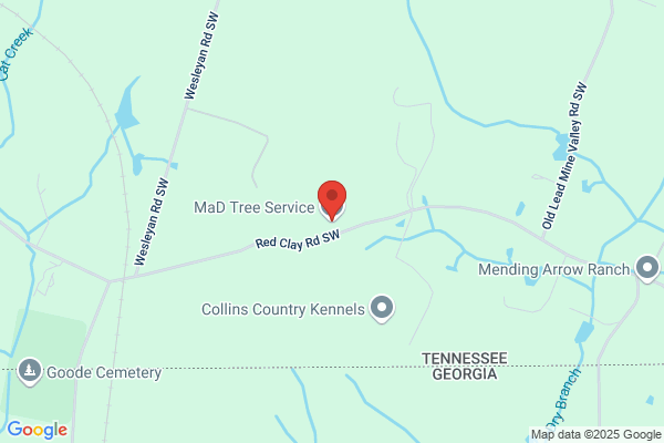 MaD Tree Service