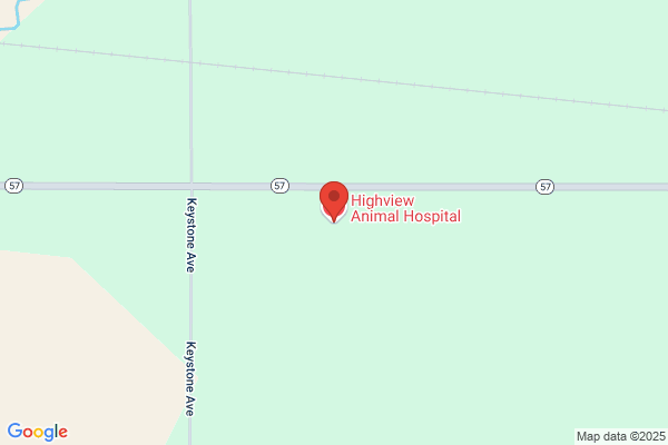 Highview Animal Hospital