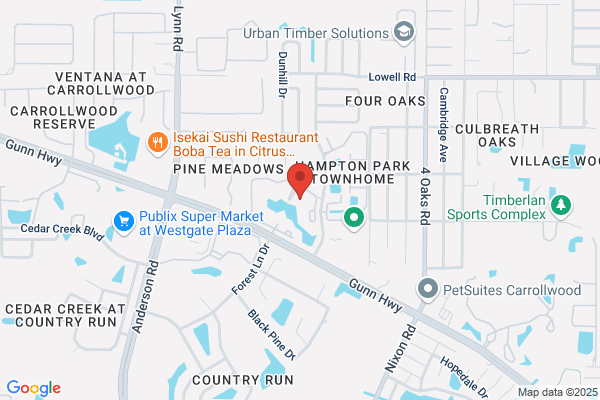 Tampa Paving Company