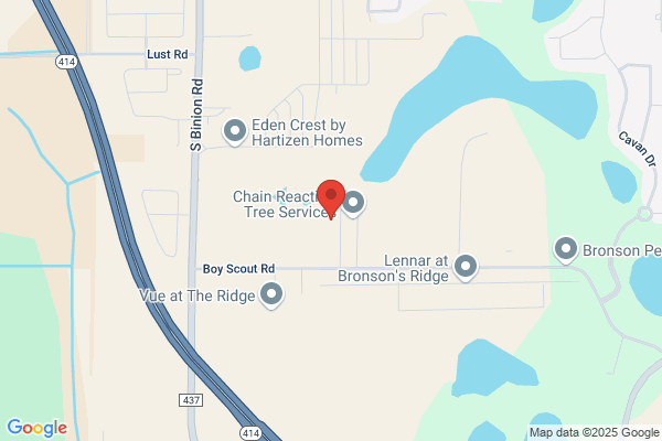 A&Z Outdoors Trees and More LLC