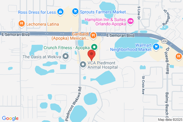 Dogtopia of Orlando - Apopka