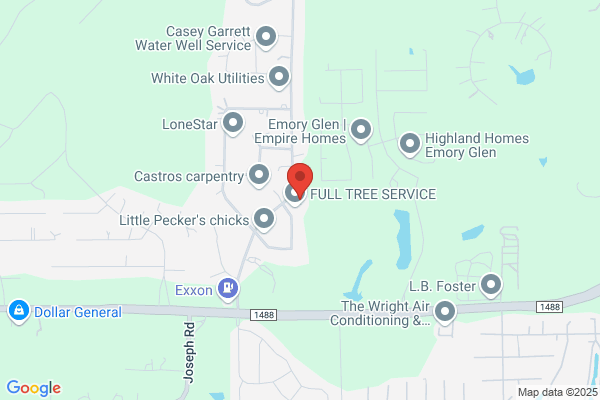 Above All Tree Service