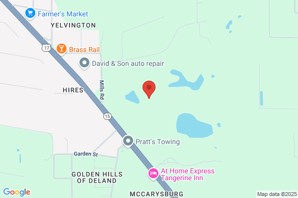 Davis Tree Service