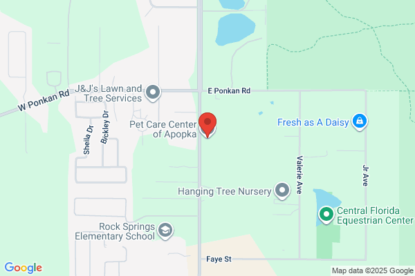 Animal Care Pet Sitting
