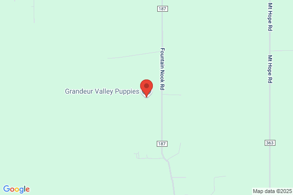Grandeur Valley Puppies