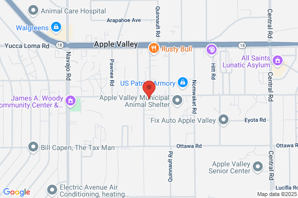 Desert Sun Auto Interiors