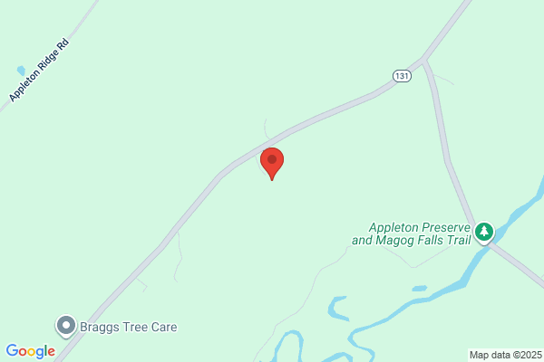 Braggs Tree Care LLC