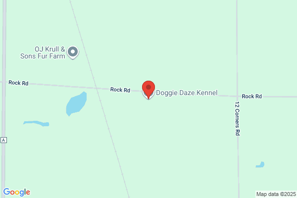 Windy Hills Kennel