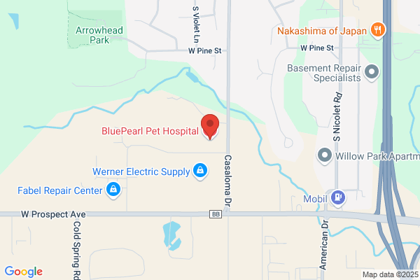 BluePearl Pet Hospital