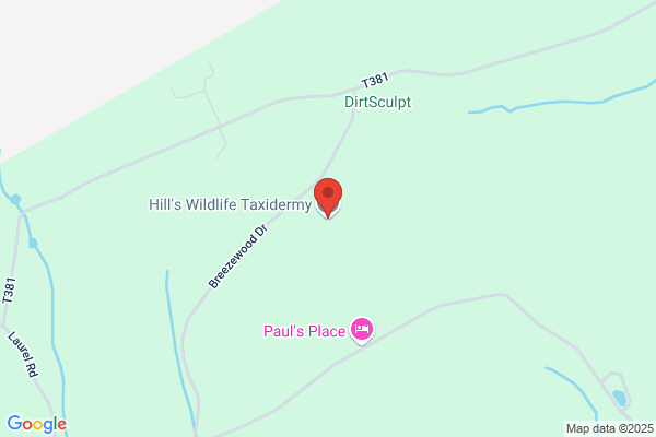 Hill's Wildlife Taxidermy