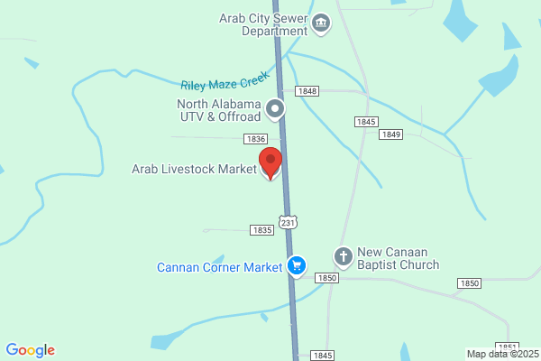 Arab Livestock Market Inc