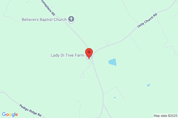Lady Di Tree Farm