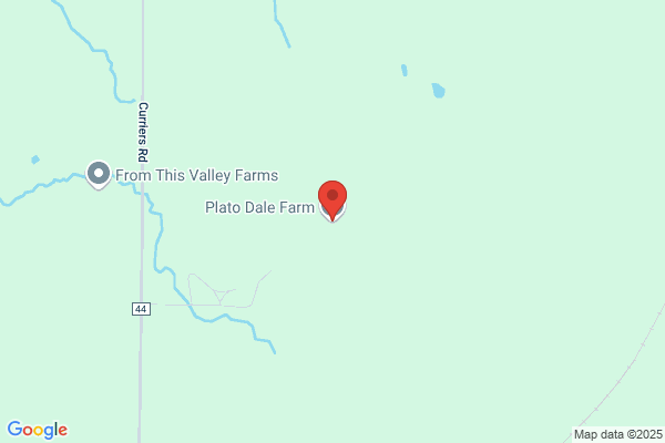 Plato Brooks Farms