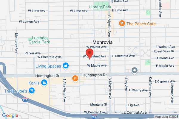 Giggle Fiber