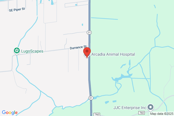 Arcadia Animal Hospital Small Animal Clinic