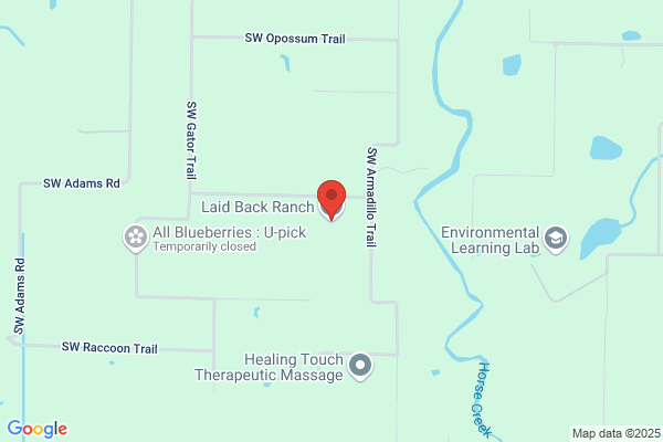 Laid Back Ranch