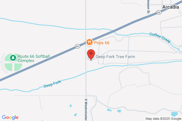 Deep Fork Tree Farm