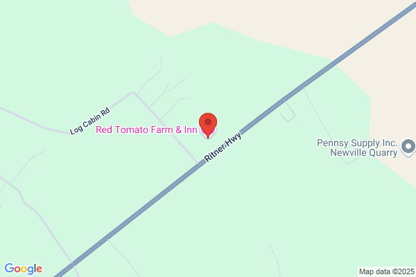 Tomatoe Patch