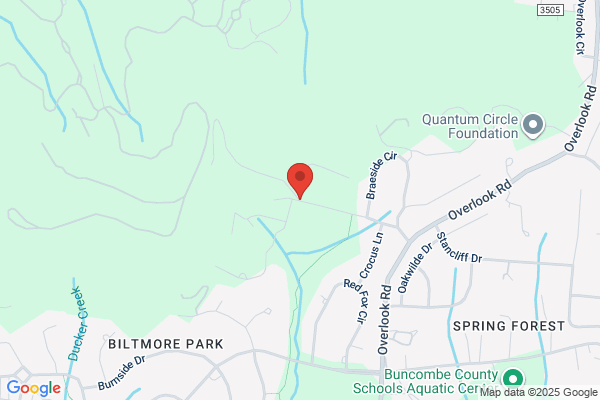 Wendy Newman Designs
