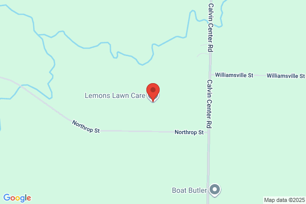 Lemons & Sons Tree & Lawn Care