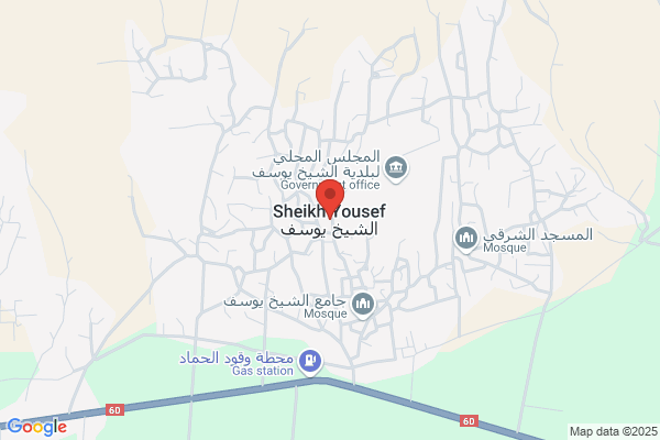 Sheikh Yousef II Llc