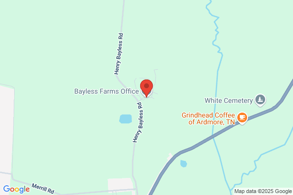 Bayless Farms