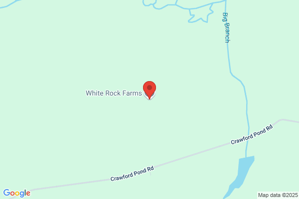Whiterock Farms Inc