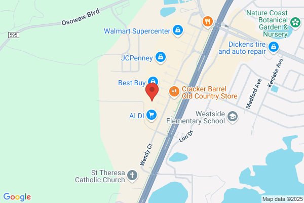 David's Bridal Spring Hill FL