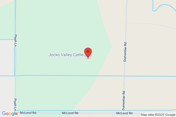 Jocko Valley Charolais