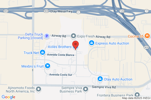 Aviles Services International